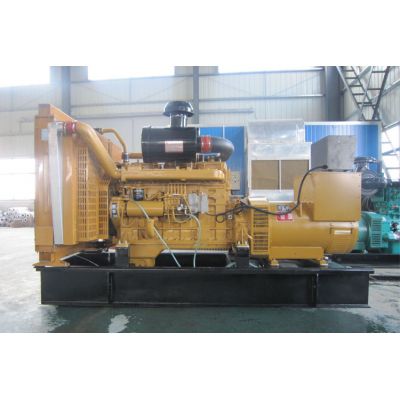 300kw上柴正新柴油發(fā)電機(jī)組-上柴正新6缸柴油機(jī)G128ZLD11柴油發(fā)電機(jī)組,缸徑/行程：135/150mm,柴油發(fā)電機(jī)組水冷發(fā)動(dòng)機(jī)功率306KW,柴油發(fā)電機(jī)組配套馬拉松斯坦福發(fā)電機(jī)。廠價(jià)直銷歡迎選購(gòu)：13773399855。